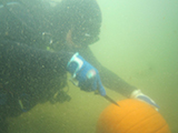 Underwater turned above water Pumpkin Carving Contest
